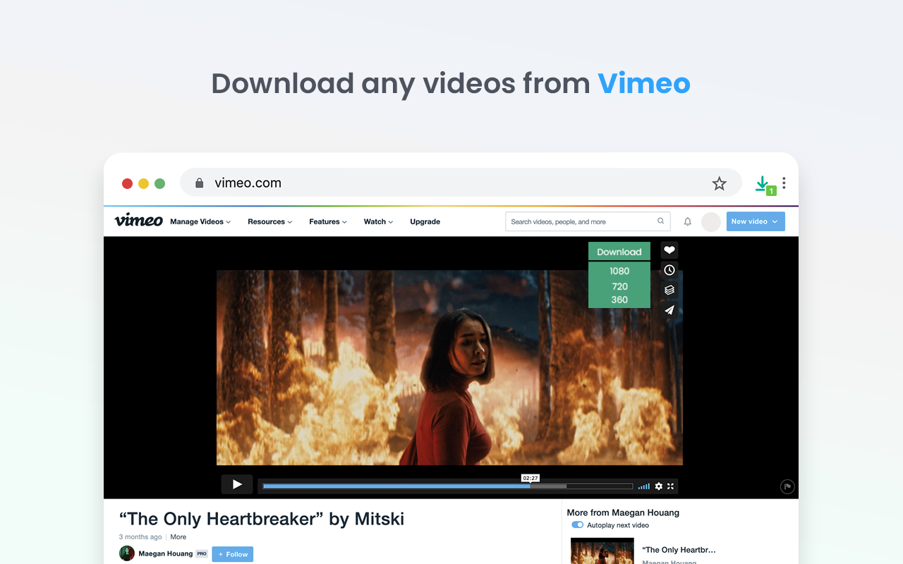 Video Downloader professional截图2