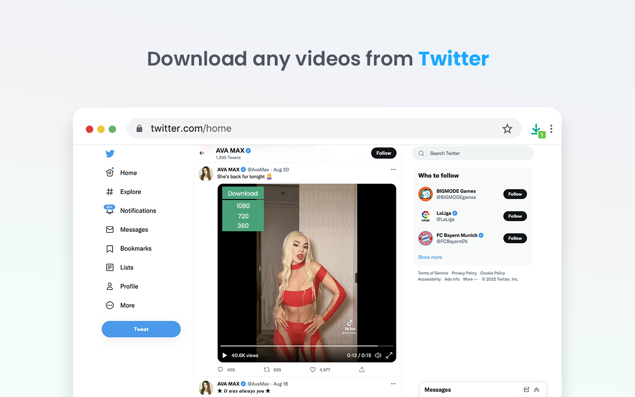 Video Downloader professional截图5