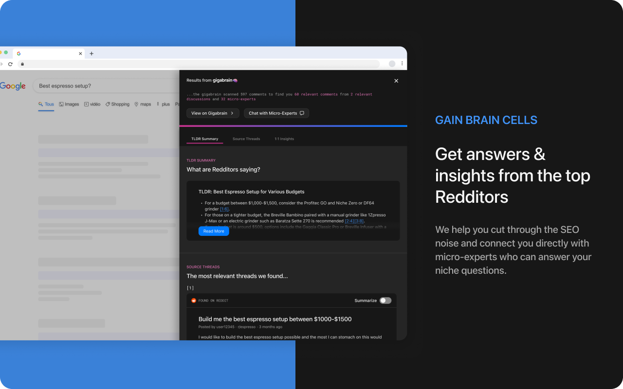 GigaBrain - AI Companion for Reddit截图2