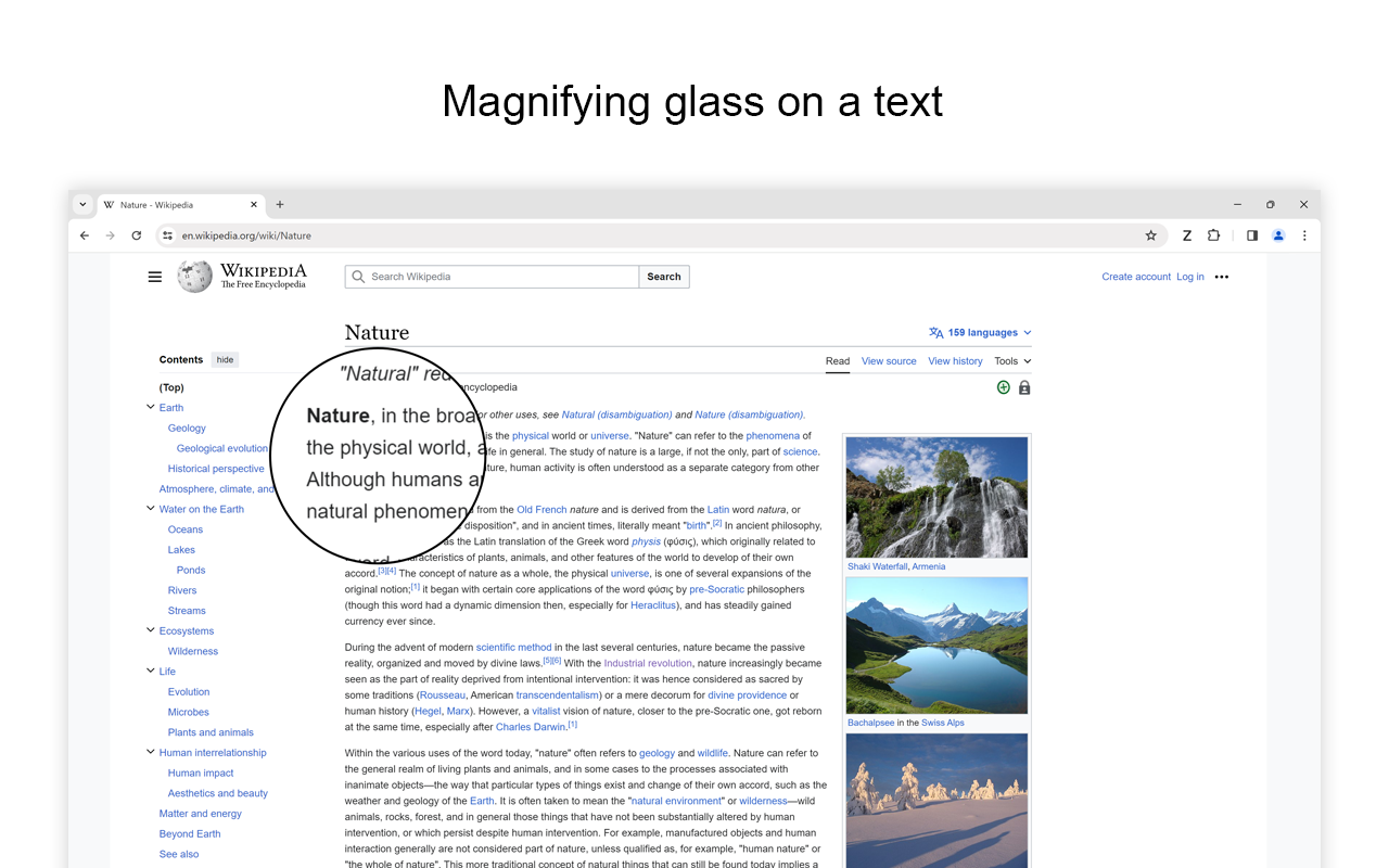 缩放 for Google Chrome截图1
