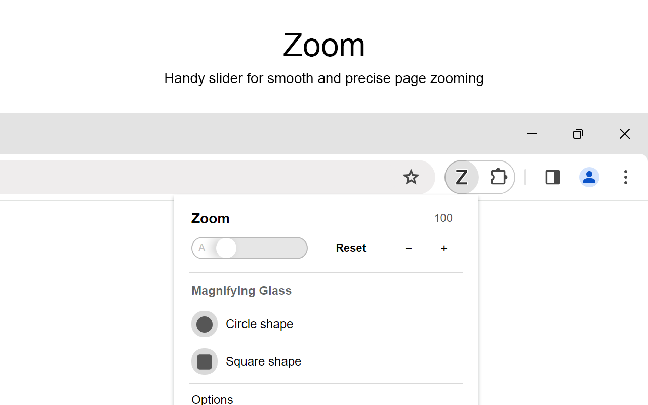 缩放 for Google Chrome截图3