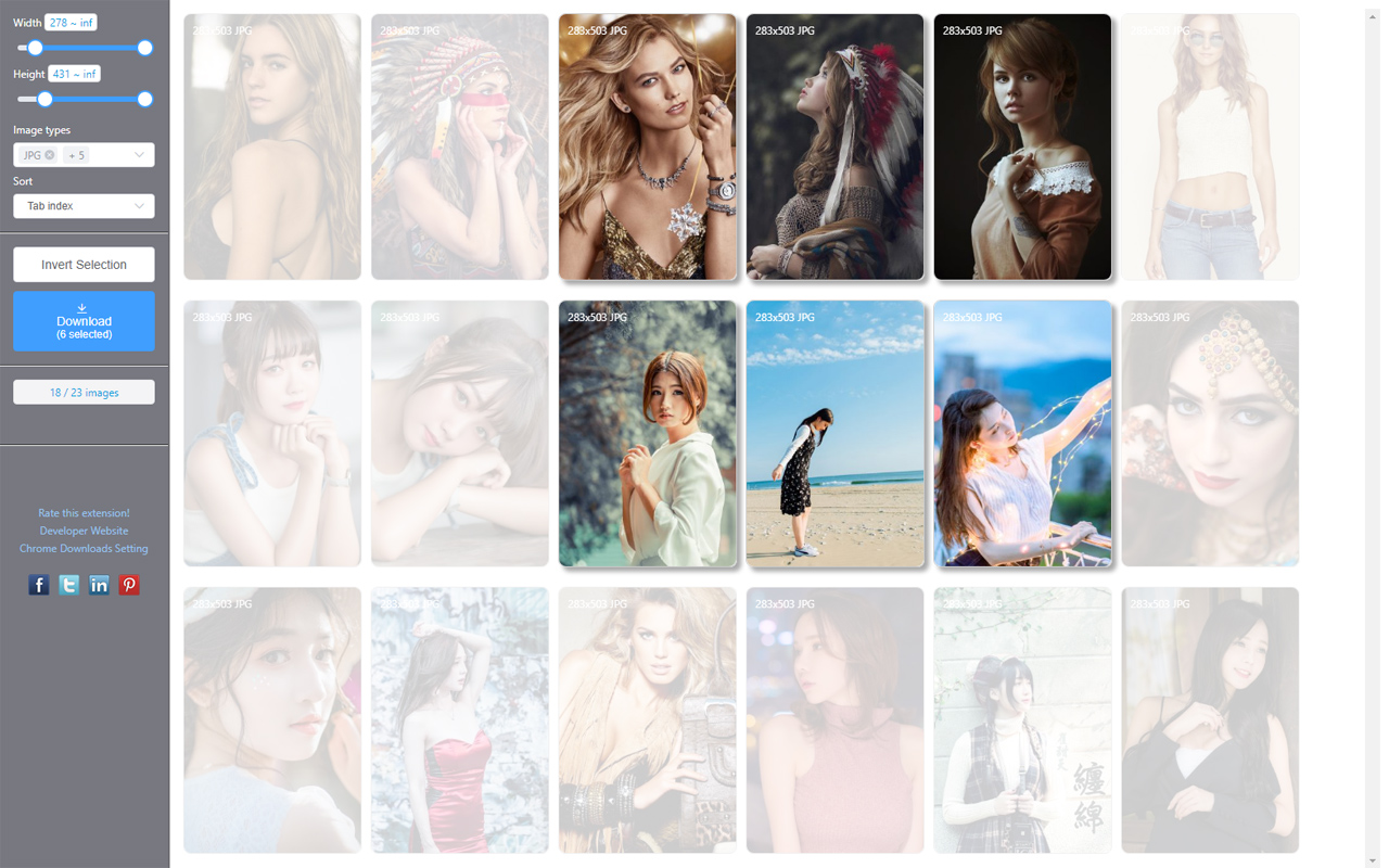 Bulk Image Downloader截图1