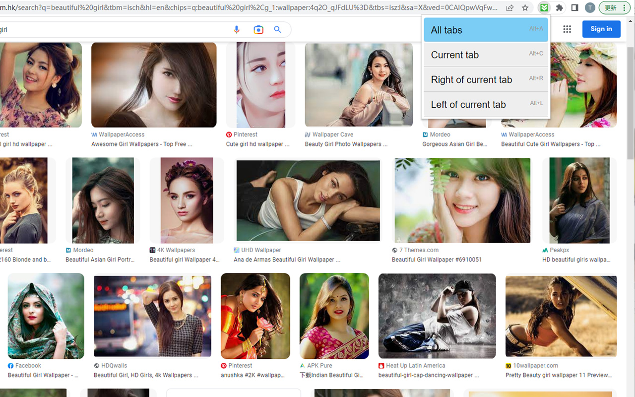 Bulk Image Downloader截图2