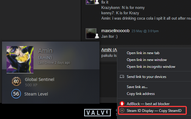 steamID Display截图1