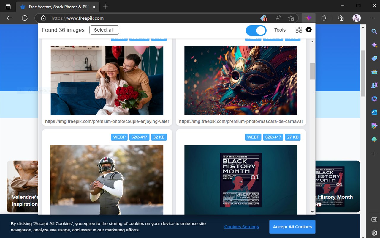 Image Downloader Plus截图1