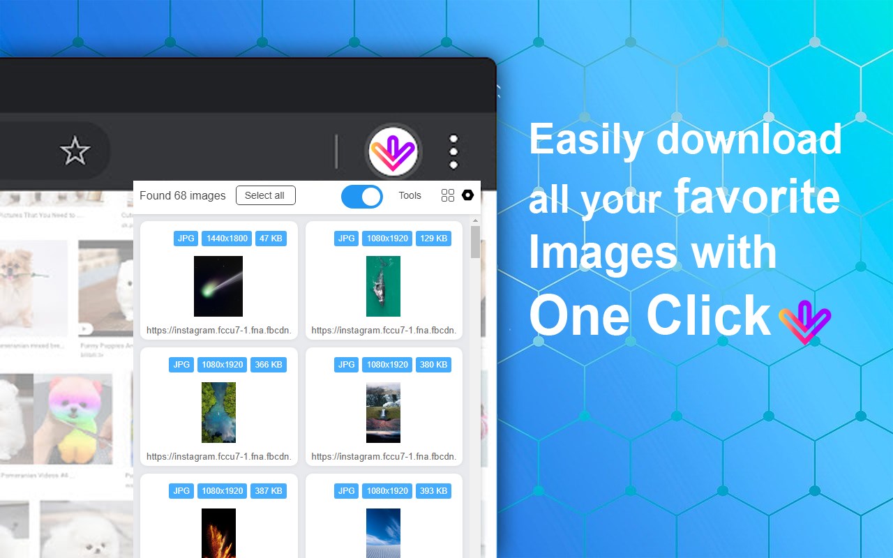 Image Downloader Plus截图2