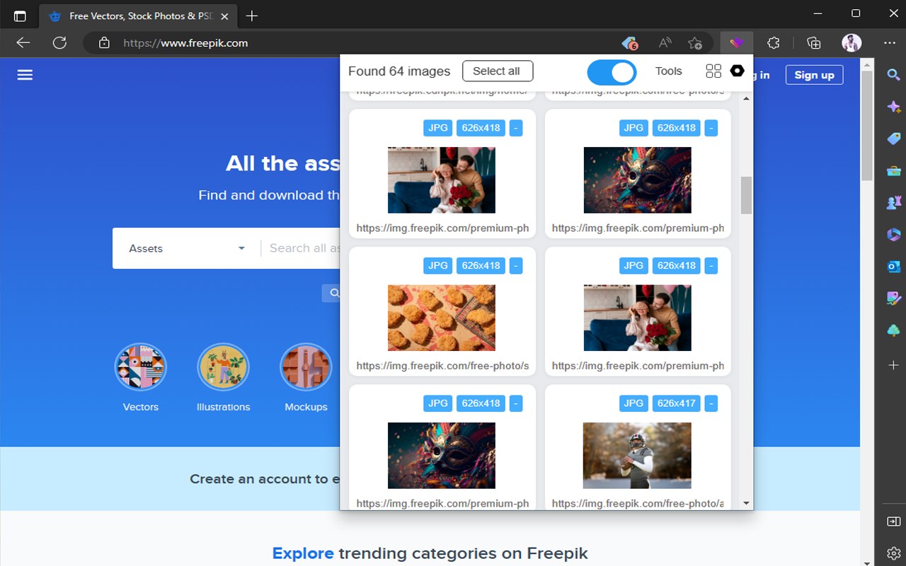 Image Downloader Plus截图4