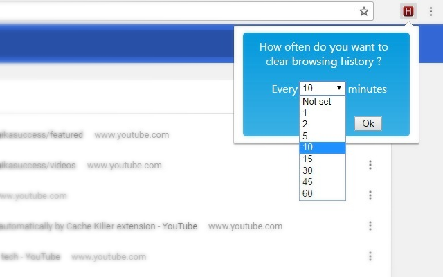 Chrome History Cleaner截图2