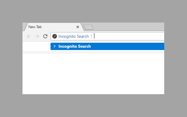 Incognito Search Plus截图2