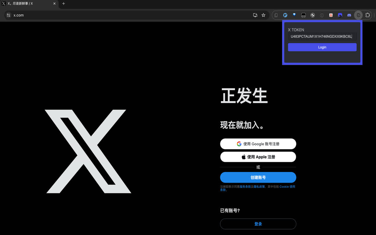 X Token Login截图1