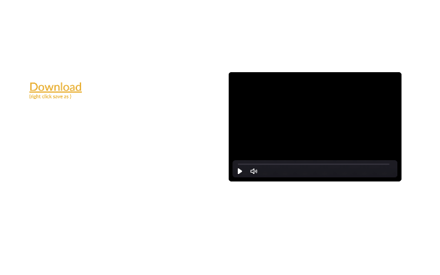 aviv video downloader截图1