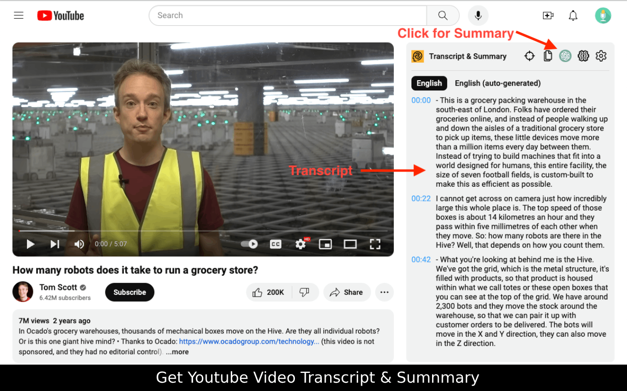 Youtube Summary With ChatGPT截图2