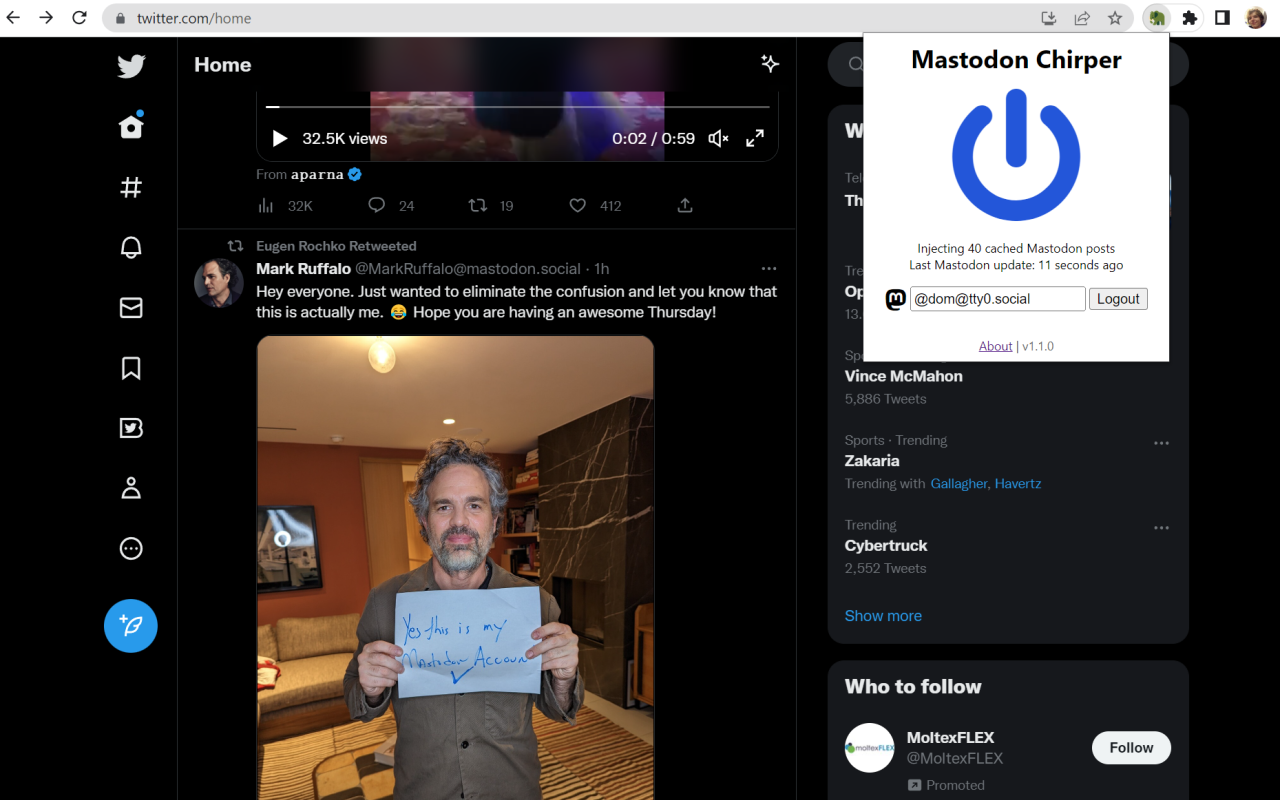 Mastodon Chirper截图1