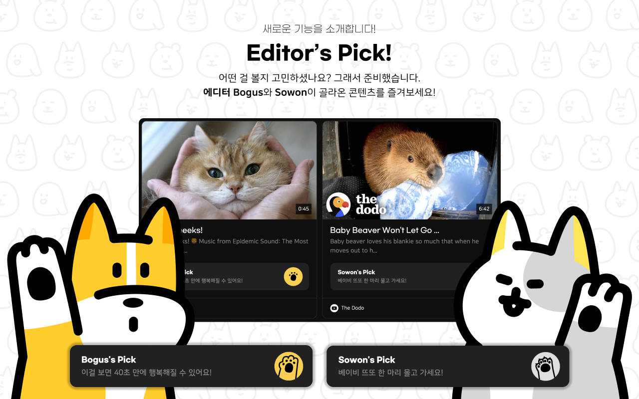Cutify - 큐티파이截图4