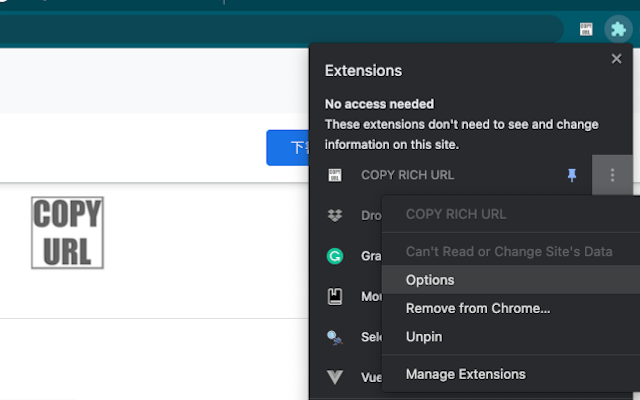 COPY RICH URL截图1