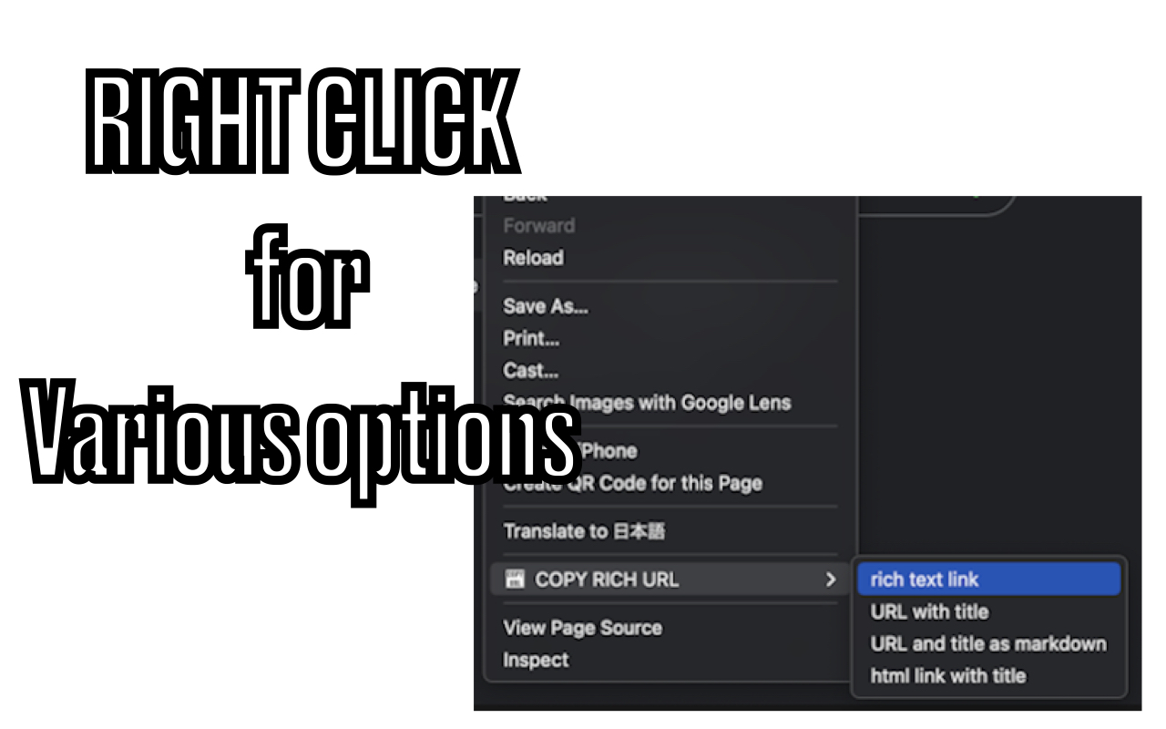 COPY RICH URL截图5