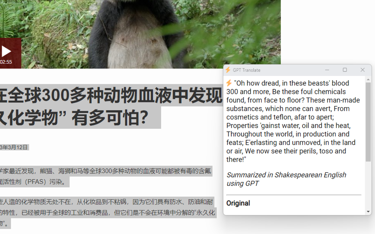 GPT Translate截图3