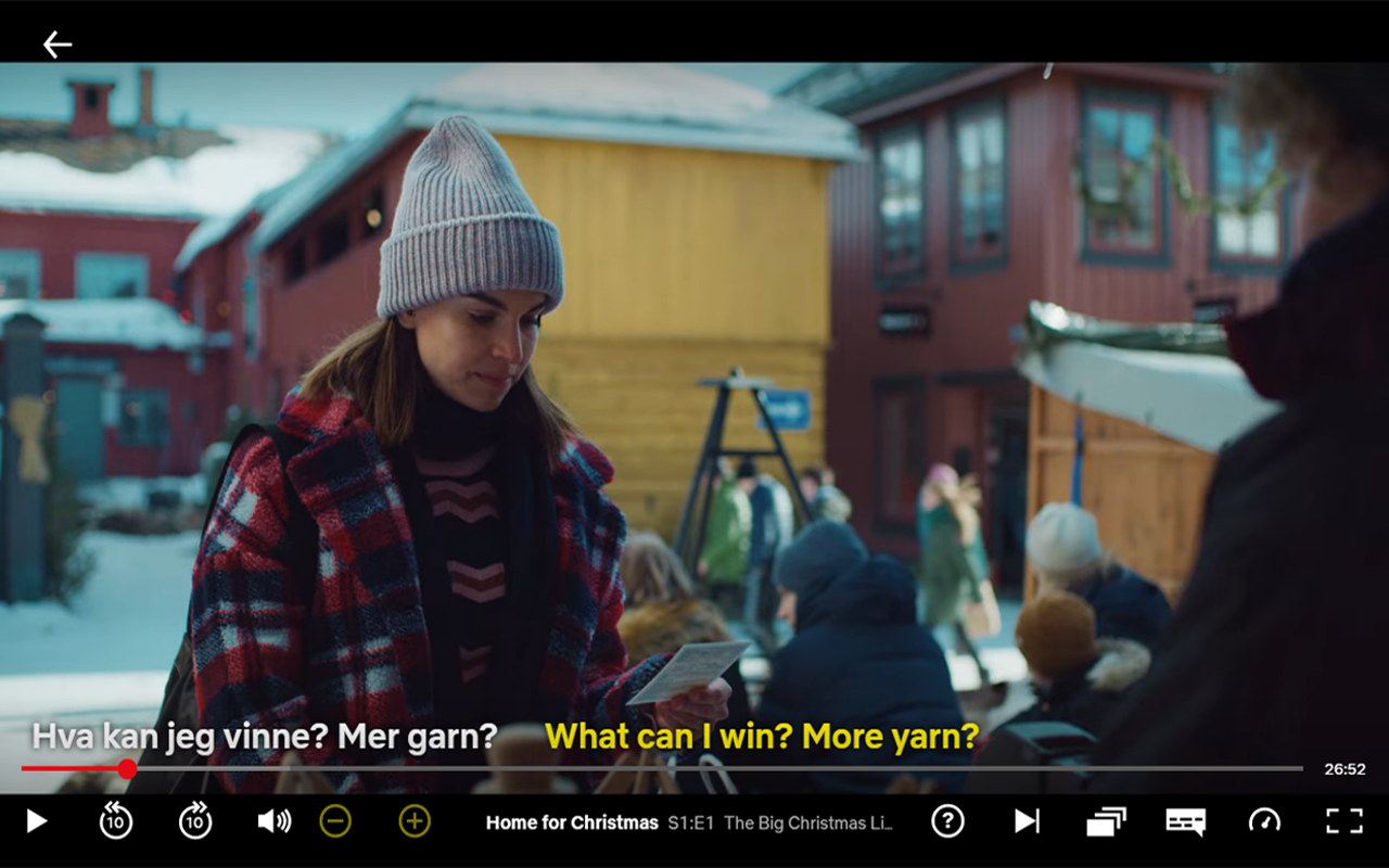 Dual Subtitles for Netflix截图2