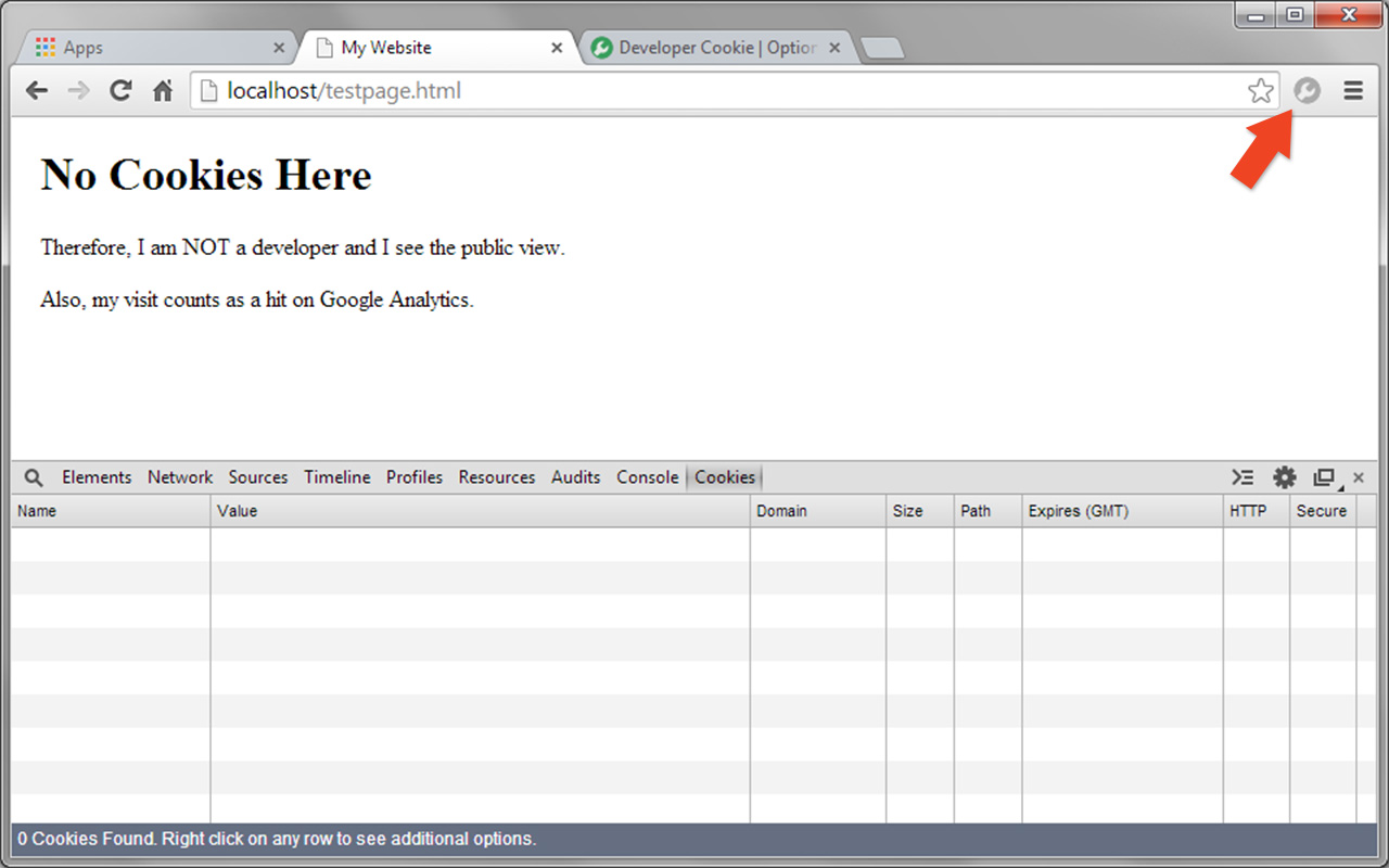 Developer Cookie截图1