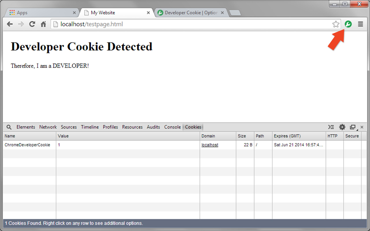 Developer Cookie截图4
