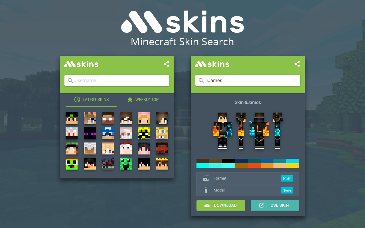 Minecraft Skins Search截图1