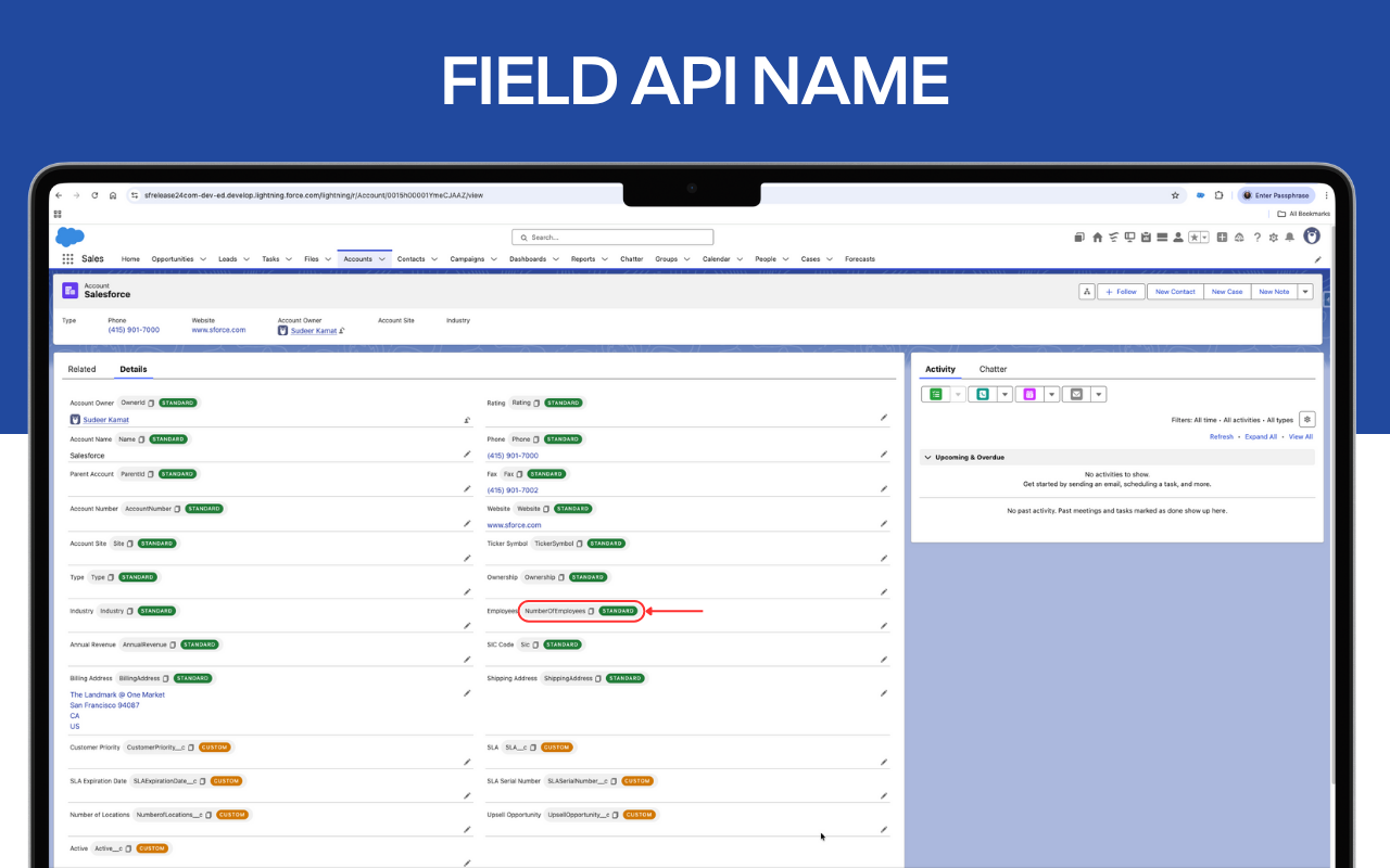 Salesforce Revamp截图1
