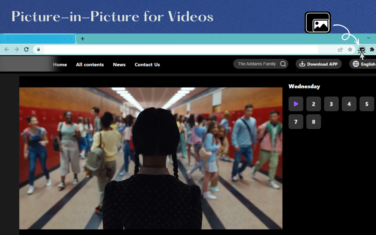 Picture-In-Picture for Videos截图1