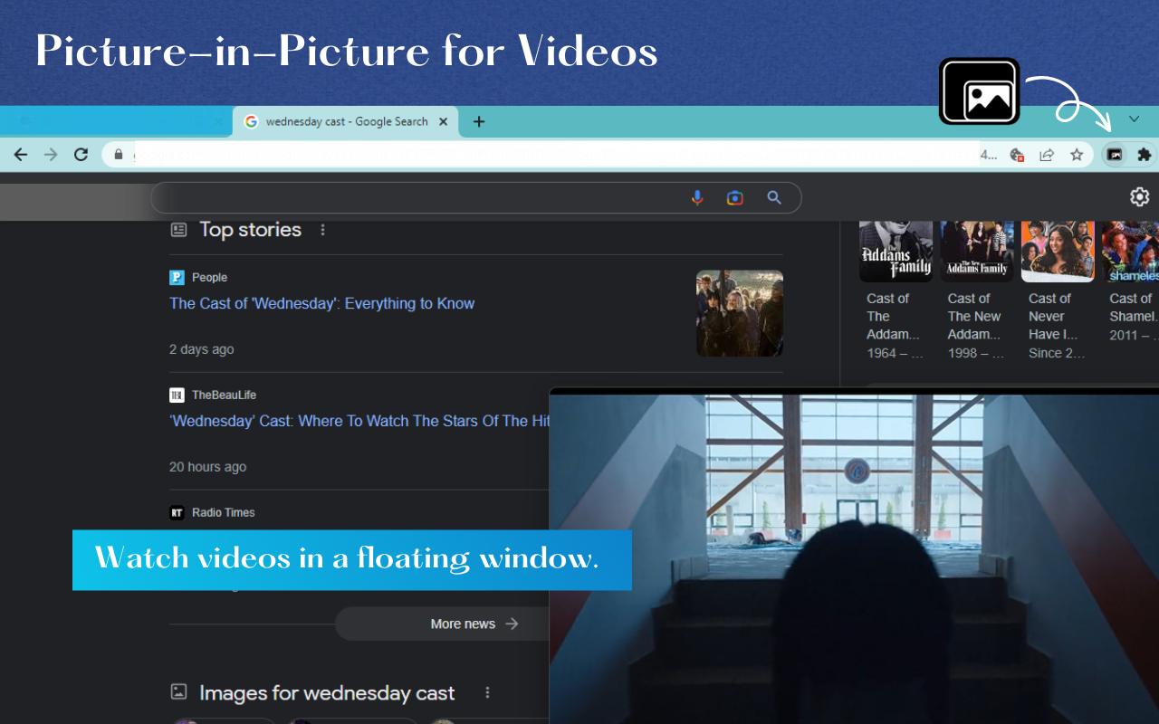 Picture-In-Picture for Videos截图2