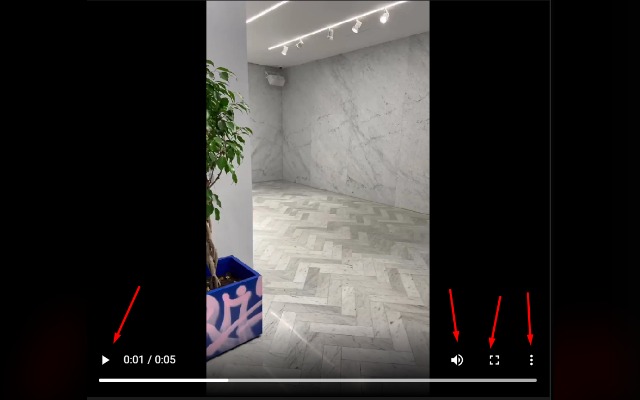 Reddit Alternative Video Player截图2