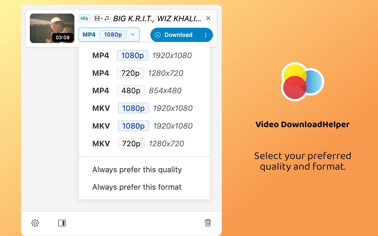 Video DownloadHelper截图1