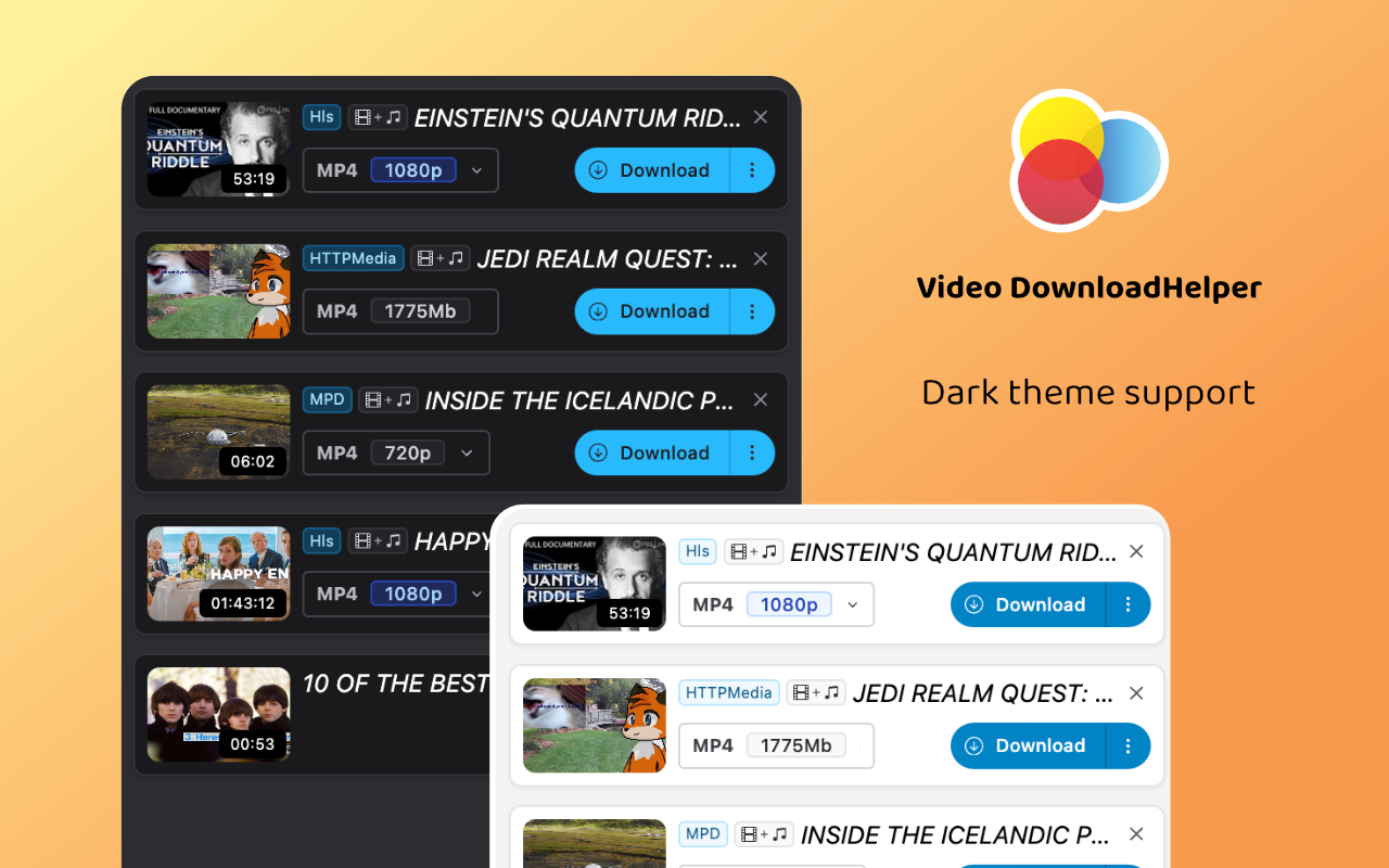 Video DownloadHelper截图2