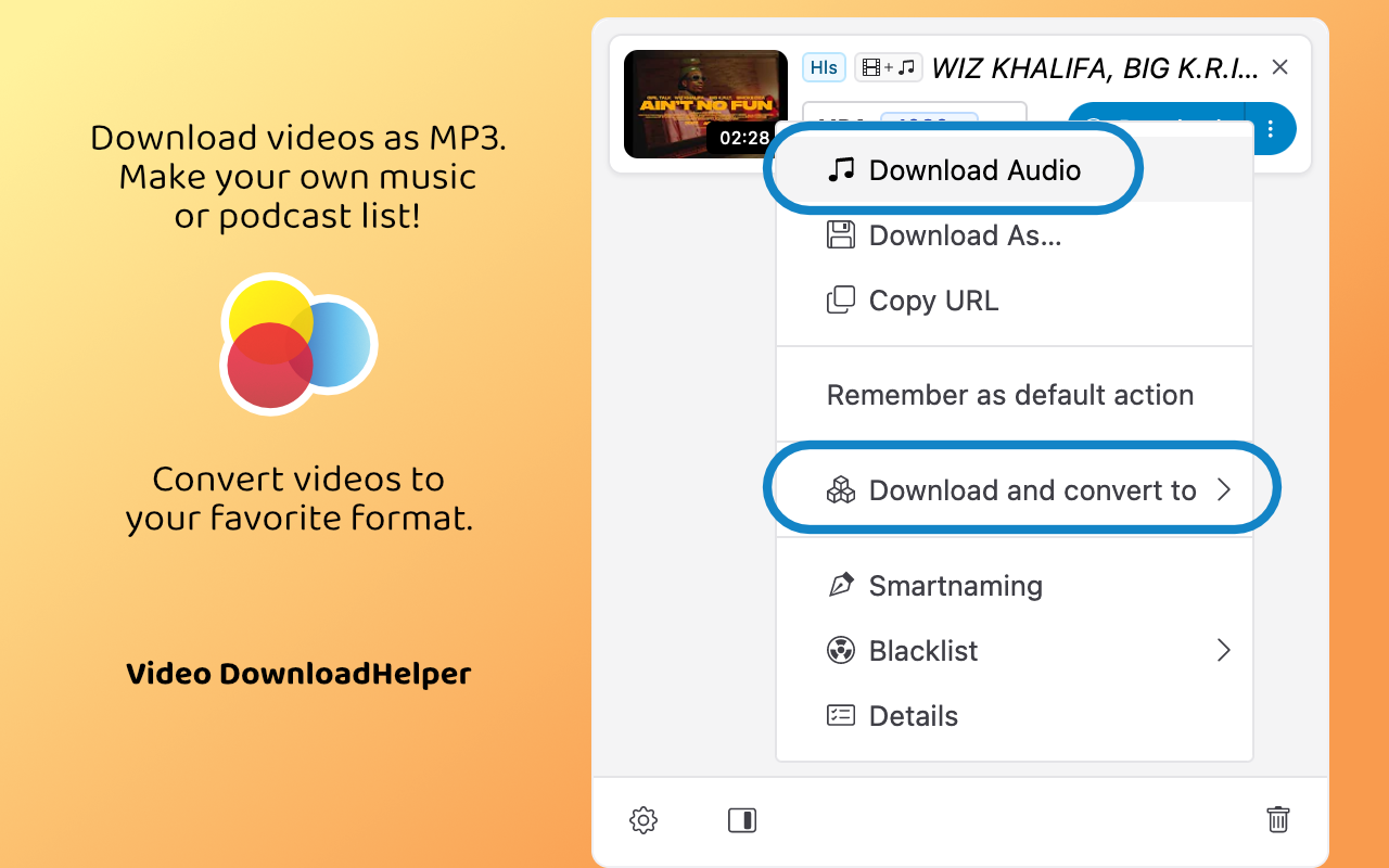Video DownloadHelper截图4