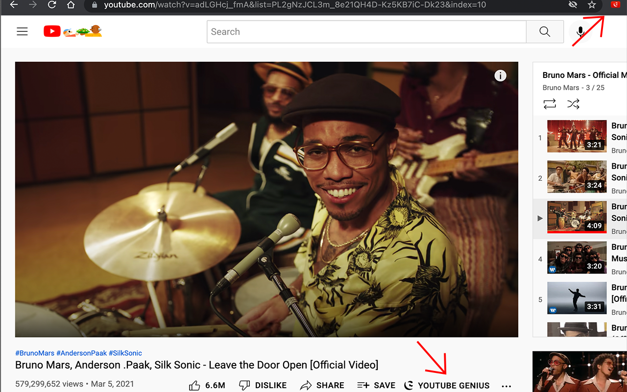 YouTube Genius截图1