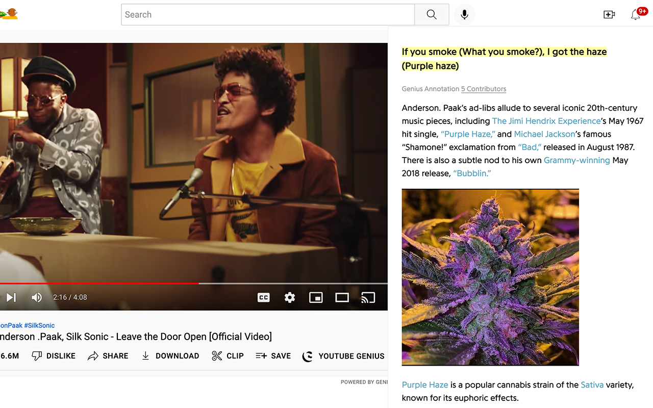 YouTube Genius截图2