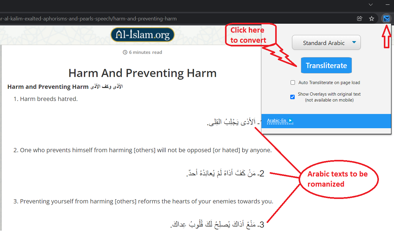 Arabic Romanizer截图3