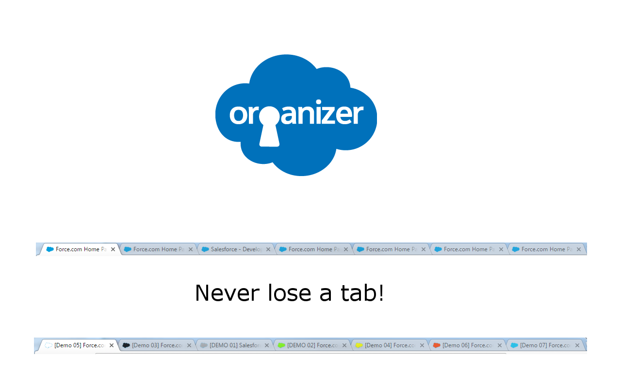 ORGanizer for Salesforce截图1