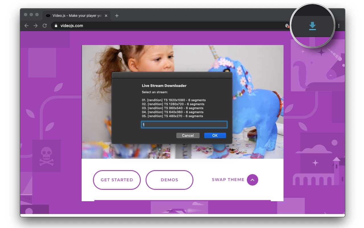 Live Stream Downloader截图1
