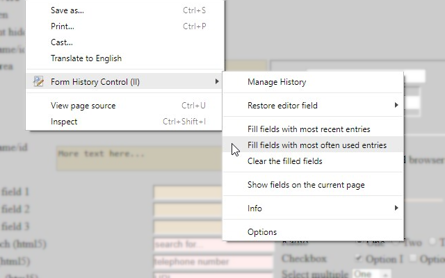 Form History Control (II)截图5