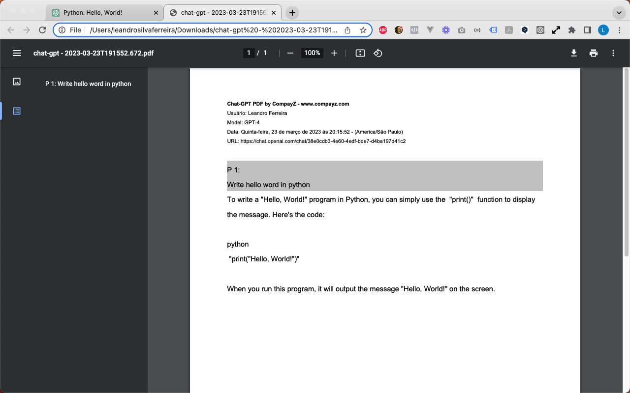 Chat-GPT PDF截图1