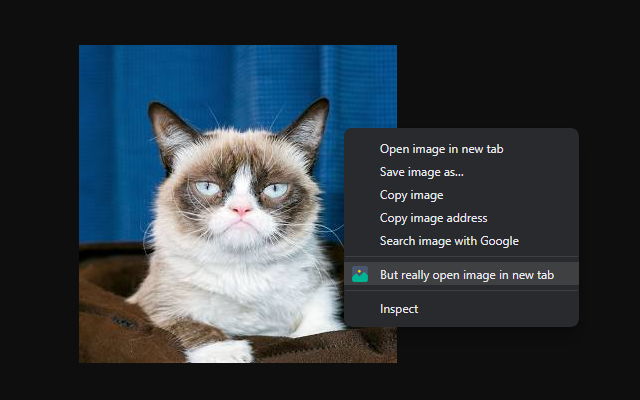 But really open image in new tab截图1