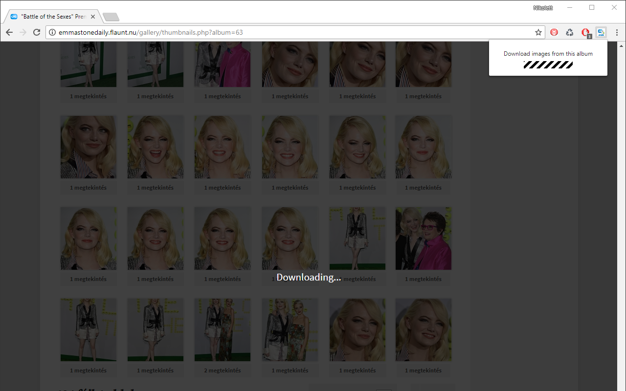 Coppermine album downloader截图1