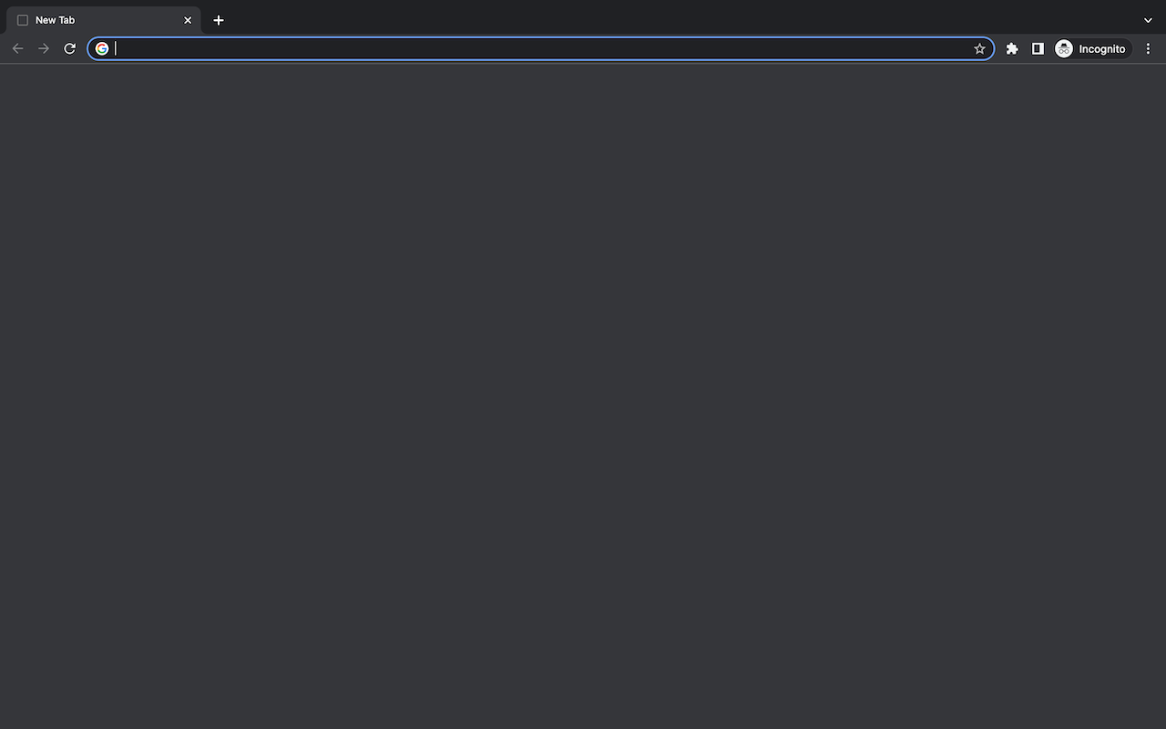 Blank New Tab截图1