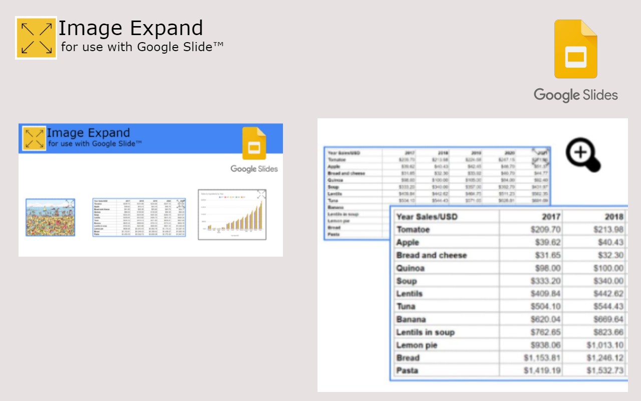 Google Slide Image Zoom截图4