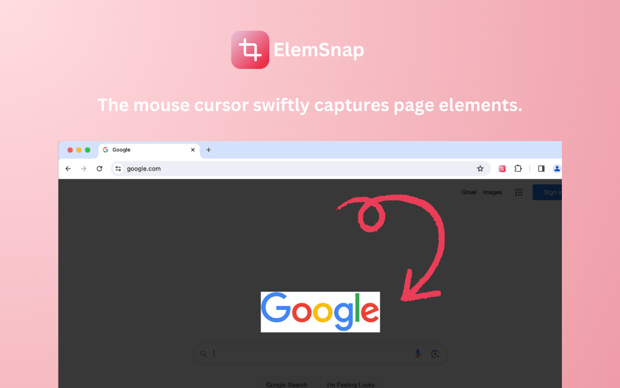 ElemSnap - Quick capture elements截图1