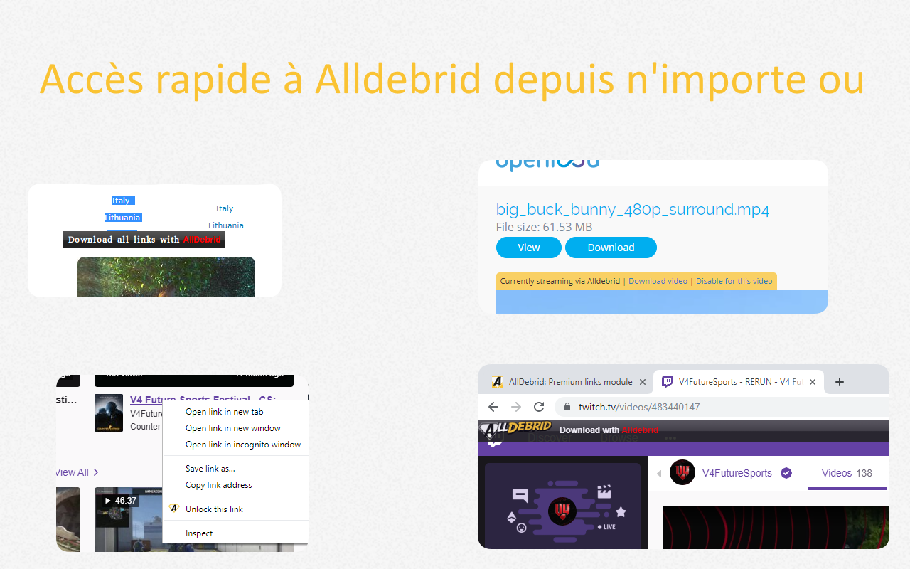 AllDebrid Extension截图2