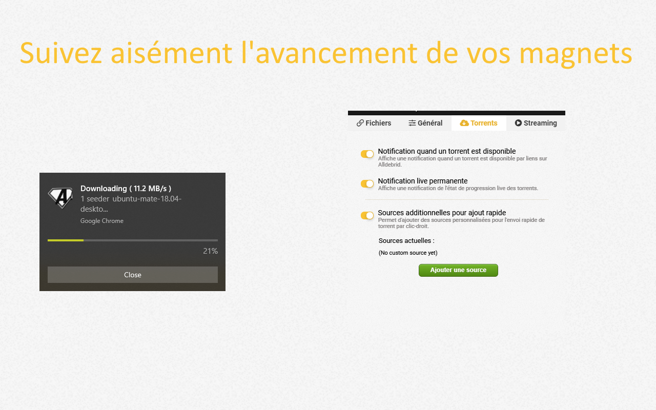 AllDebrid Extension截图5