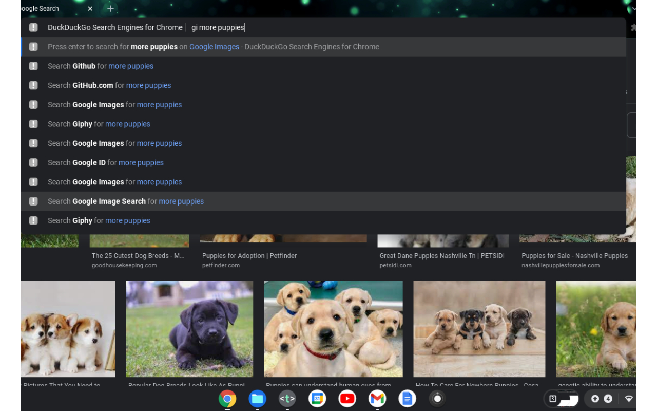 DuckDuckGo Search Engines for Chrome截图4