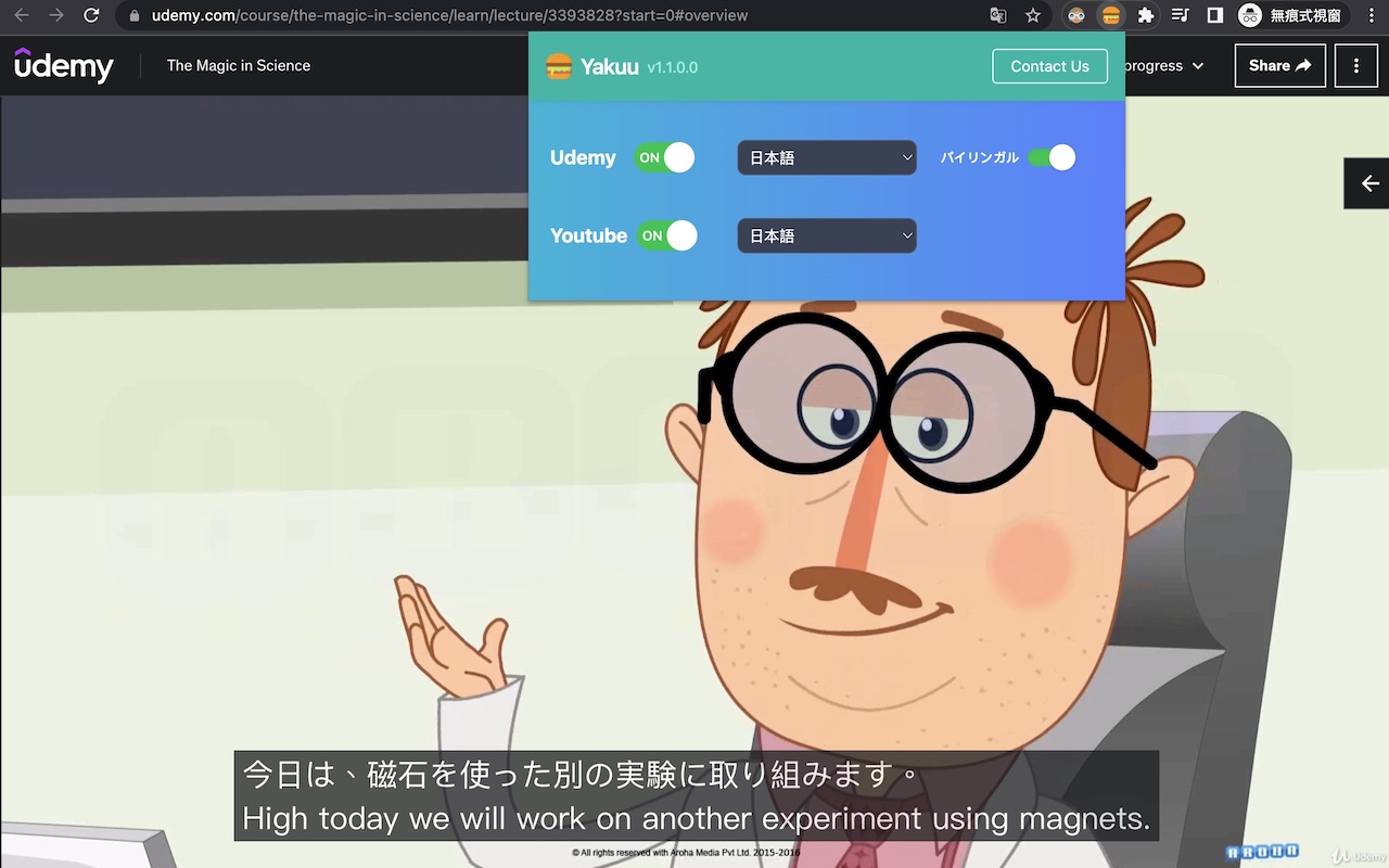 Udemy Subtitle Translator - Yakuu截图4