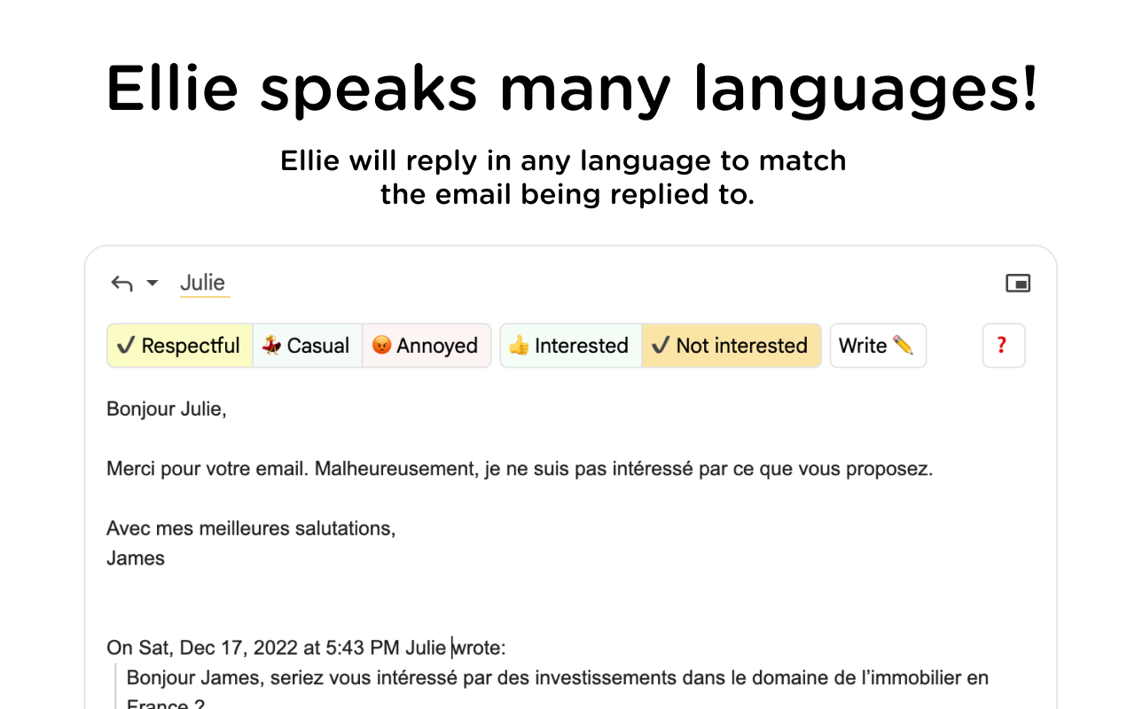 Ellie: Your Professional AI Email Assistant截图1