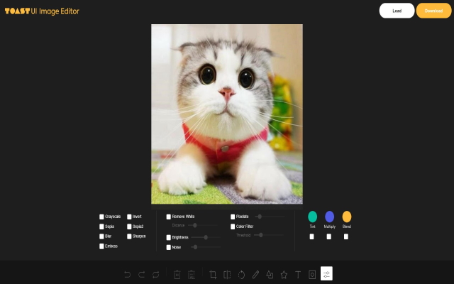 Photo Editor in Google Chrome™截图1